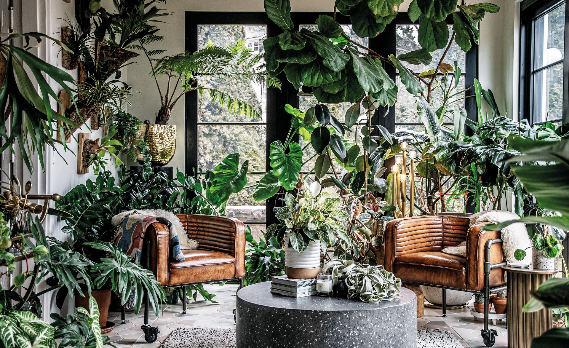 Elegant topiary plant